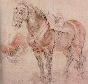 Peter Paul Rubens Horse oil painting artist